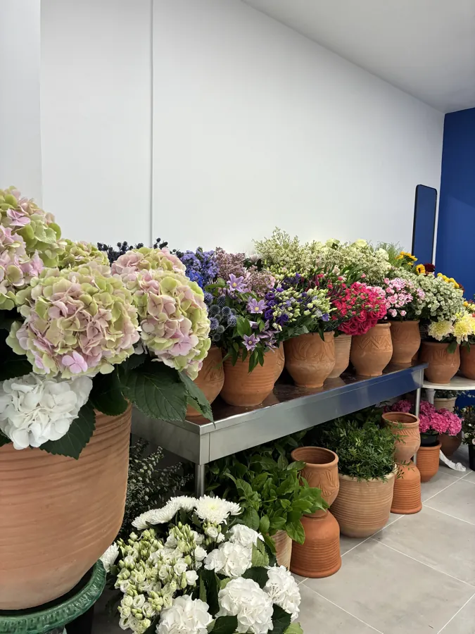 Accessoires et objets décoratifs floraux - Collection Moment III - Fleuriste Nîmes